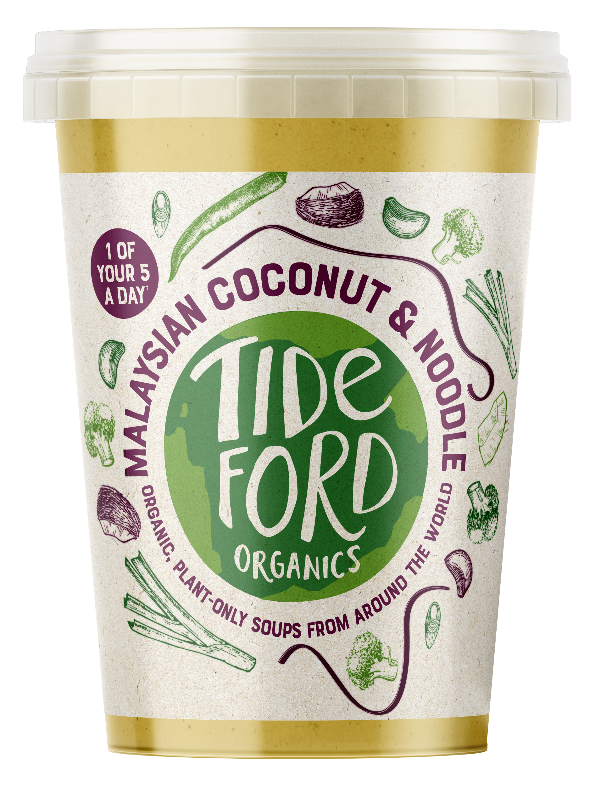 Malaysian Coconut & Noodle